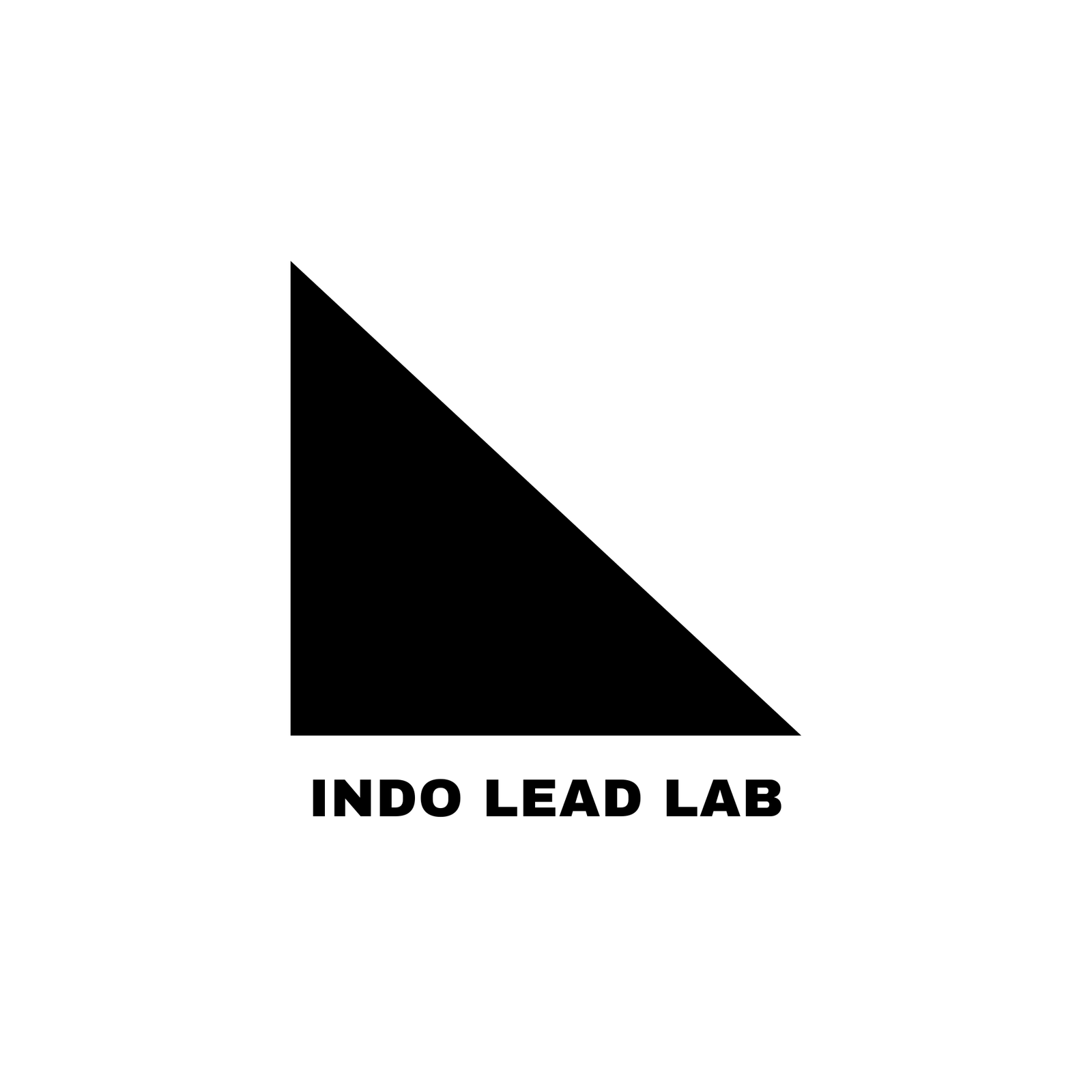 INDO LEAD LABS
